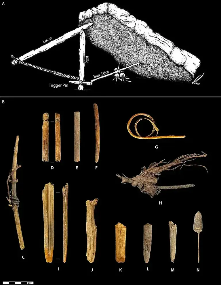 These tiny scraps of elk hide are the oldest sewn objects in the world ...