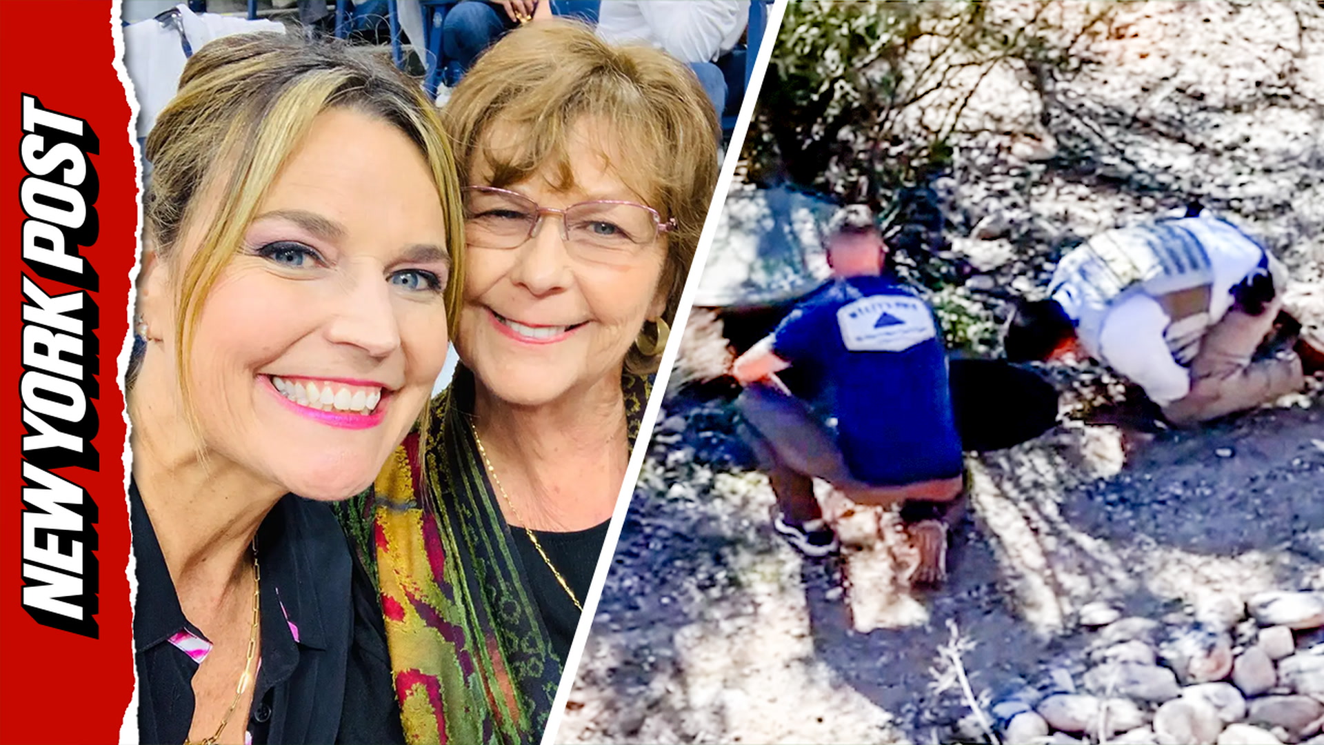 Why did investigators search Nancy Guthrie's septic tank? All the ...