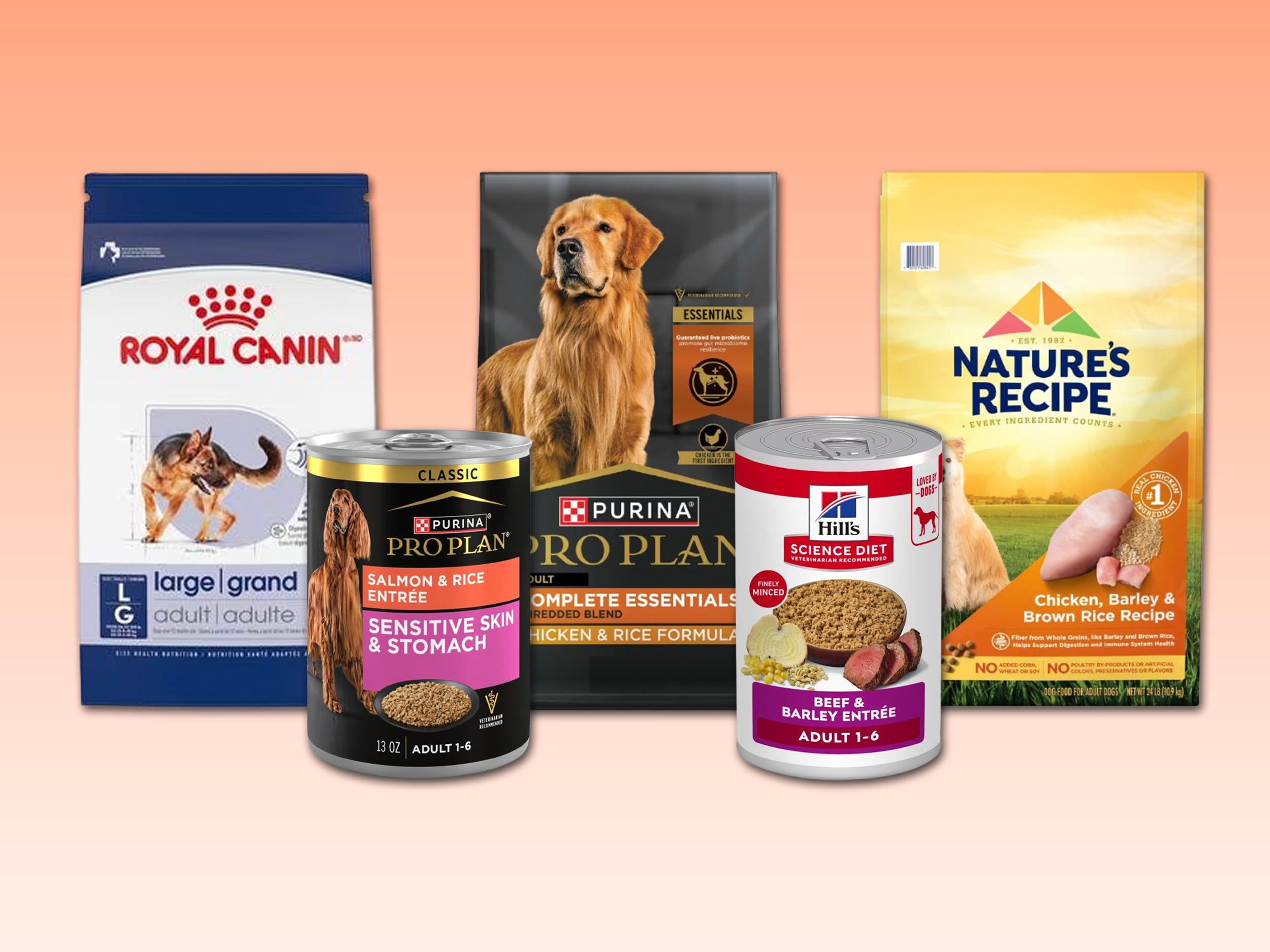 The best dog foods, with nutrition guidance from veterinarians