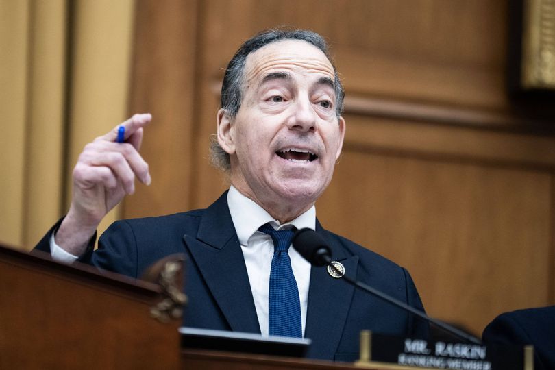 Raskin says Epstein files had 'mysterious and inscrutable' redactions ...