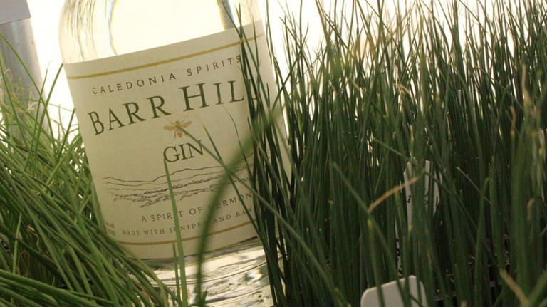 The best gins to pair with tonic, according to bartenders