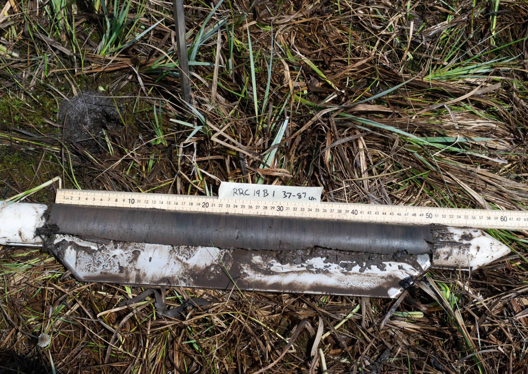 Why bison hunters abandoned a kill site 1,200 years ago