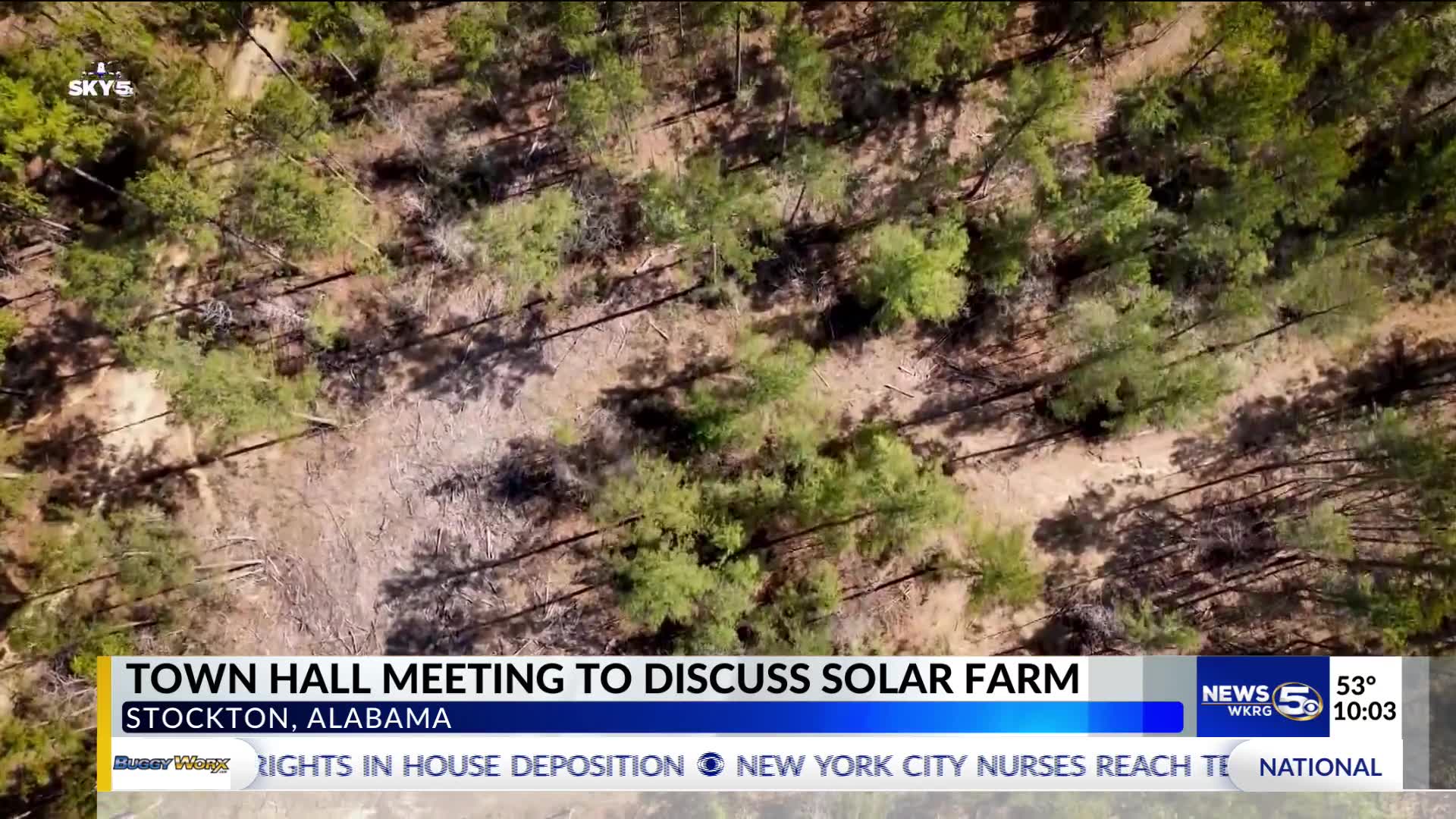 'People care about these wetlands': Baldwin County residents unite ...