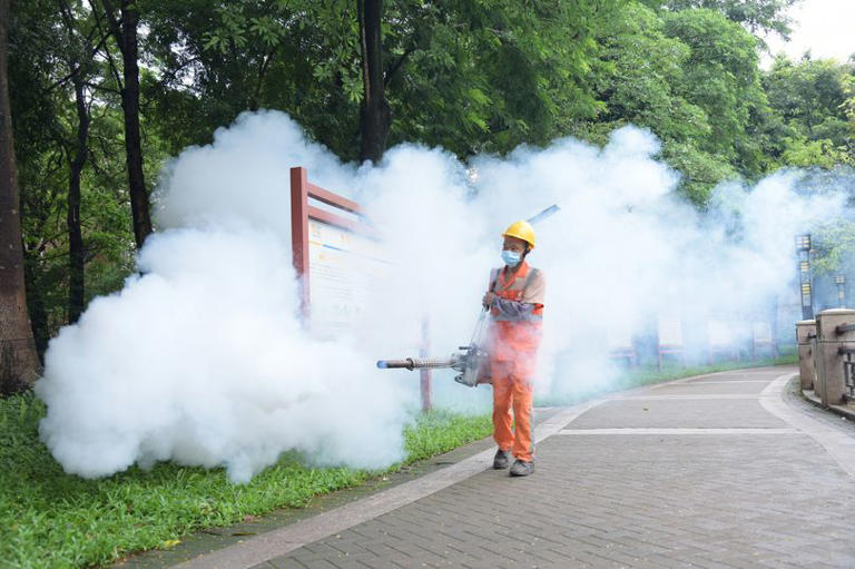Urgent travel warnings for dangerous virus that causes sudden fever ...