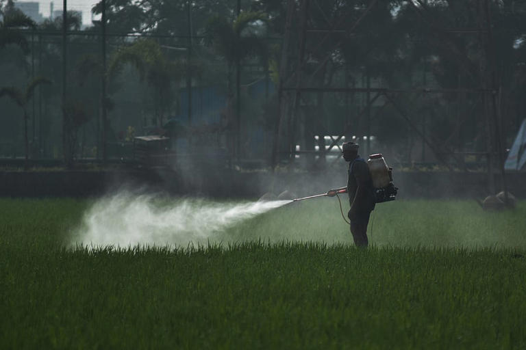 New TAKAI insecticide for rice crops in Vijayawada