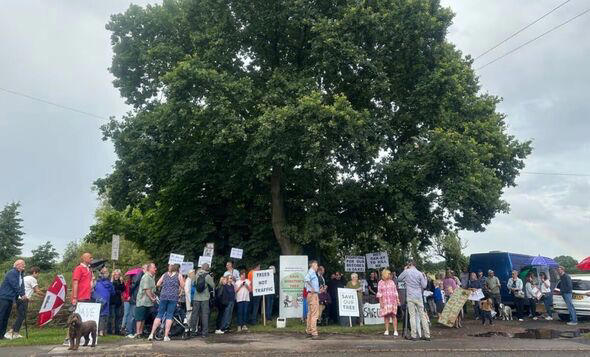 Residents 'devastated' as tree planted in memory of Winston Churchill ...