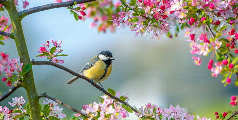 When does spring start in the UK?