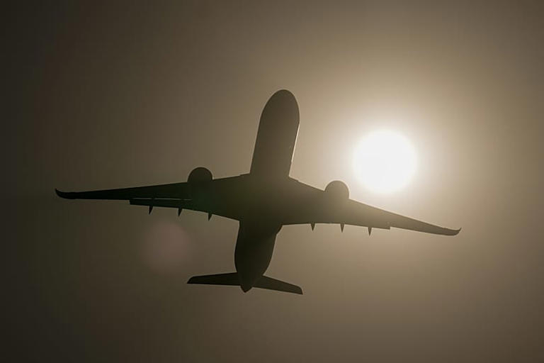 'European preference is a risk to healthy supply chains,' EU industries ...