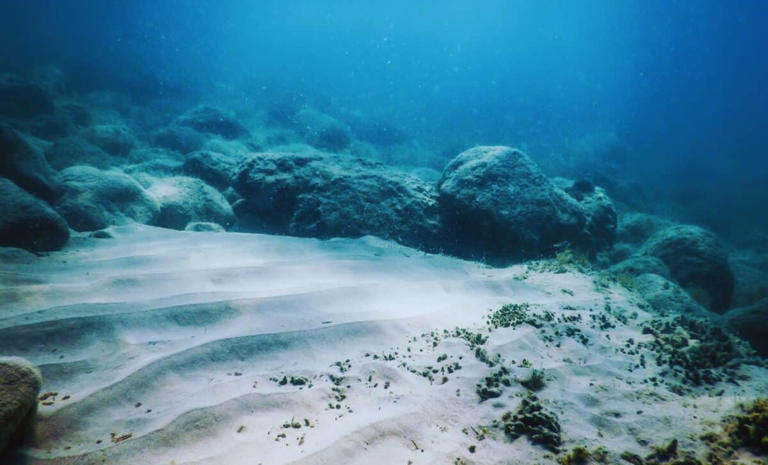 Credit: Shutterstock | The Daily Galaxy --Great Discoveries Channel