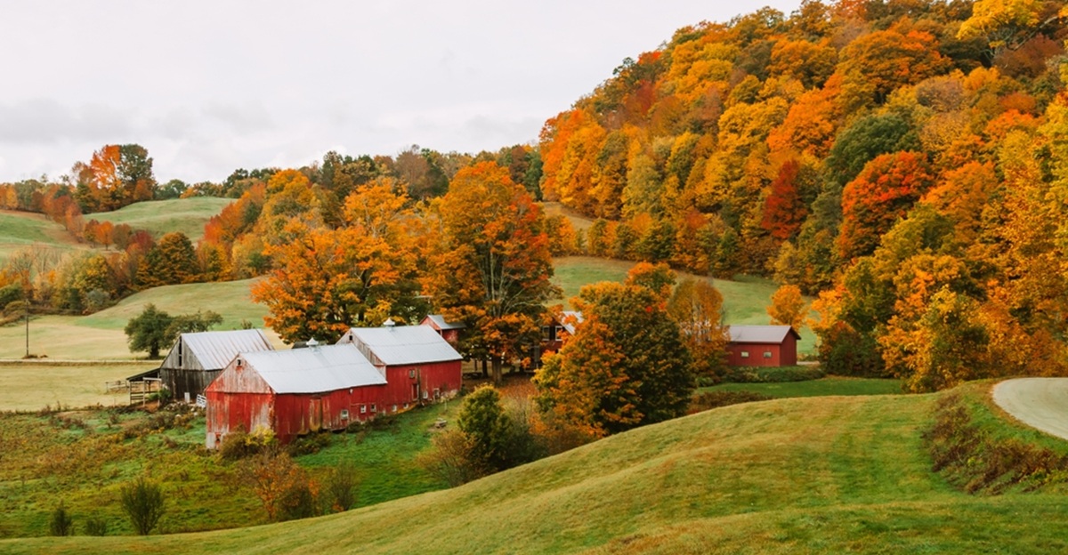 14 family-friendly farm stay towns with barn visits and orchard walks