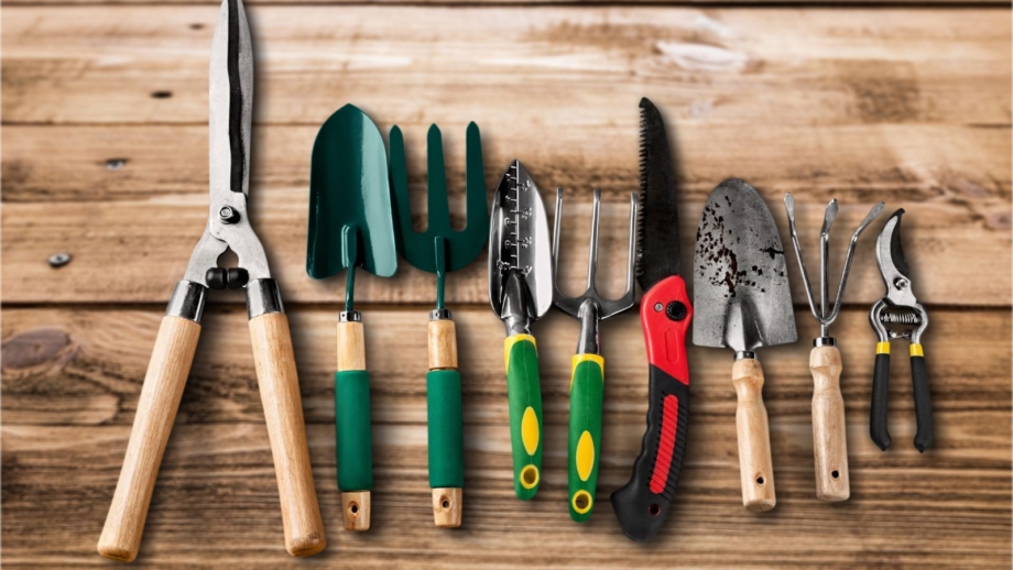 Do this to your garden tools before using them on your plants this season