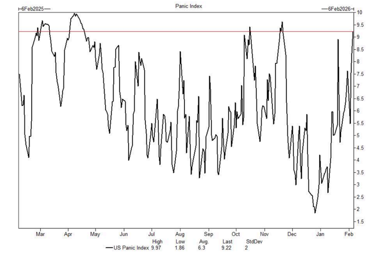 Goldman's panic index close to 'max fear'