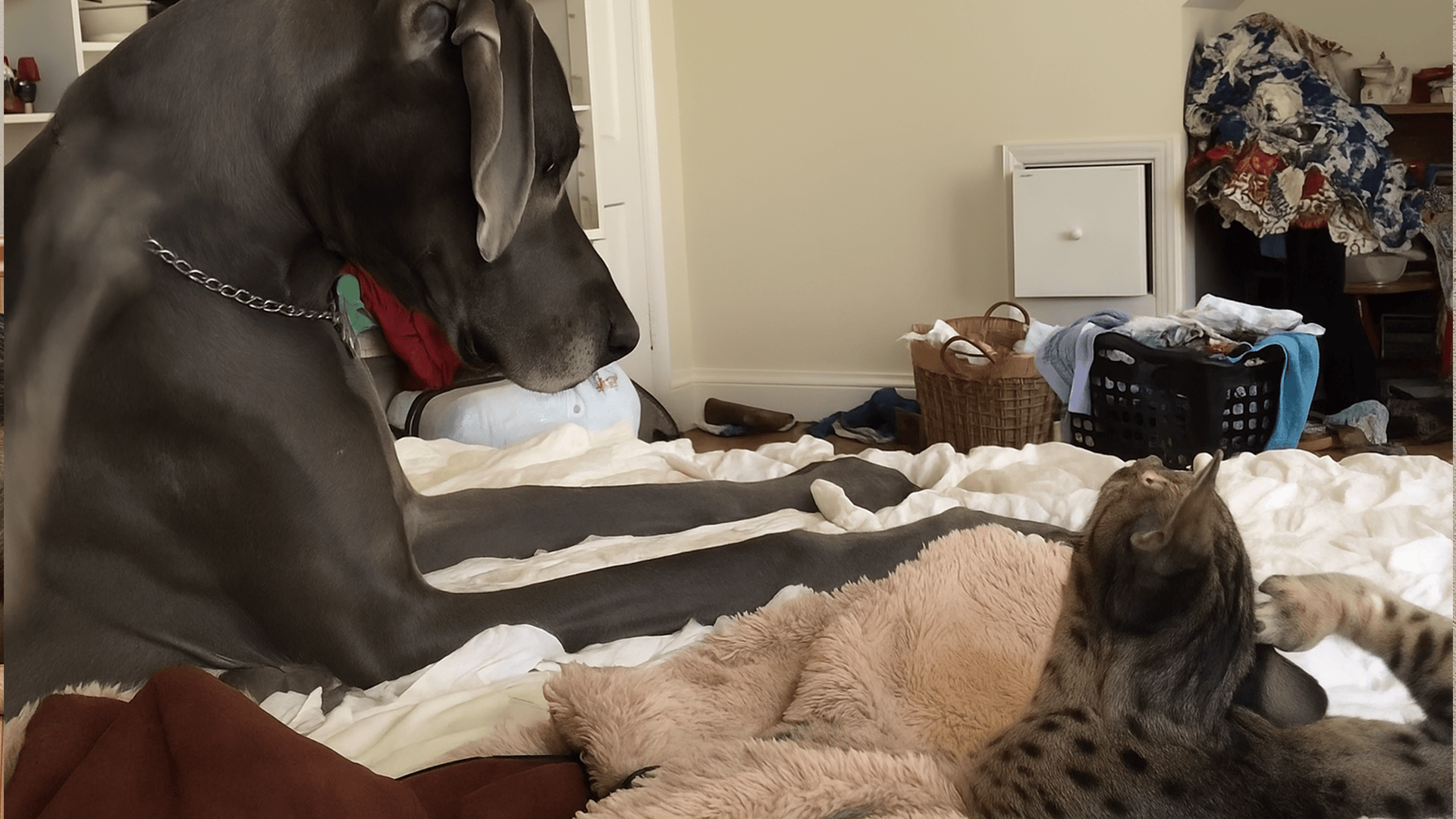 The standoff that nobody planned