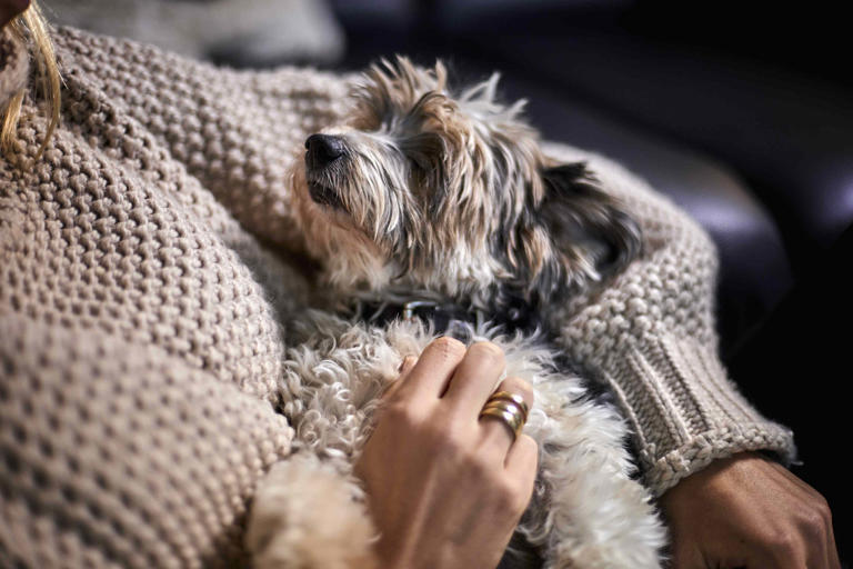 When empty nest syndrome hit, the dog I didn’t want saved me