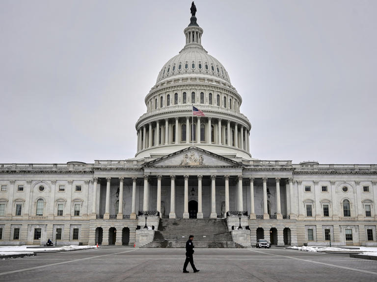 'Democrats are on offense': House Dems' campaign arm adds 5 seats to ...
