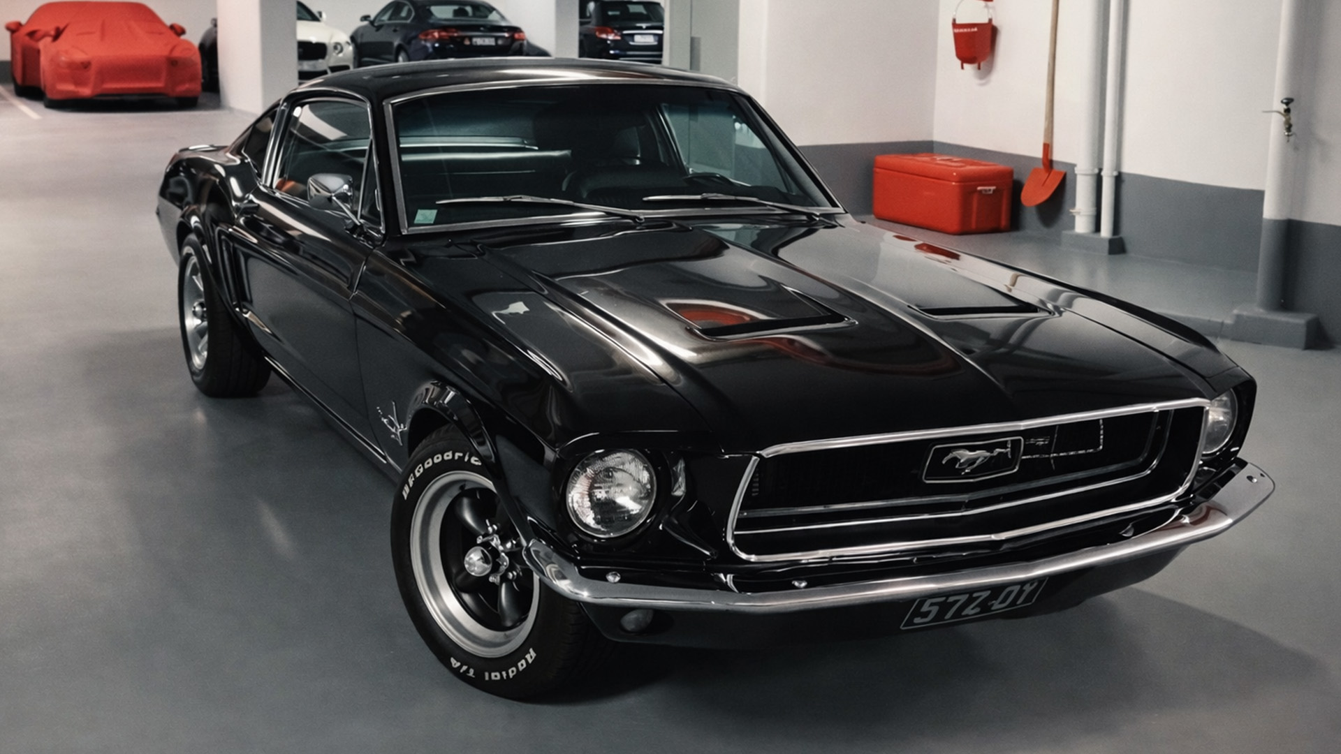 What happens when you import a muscle car