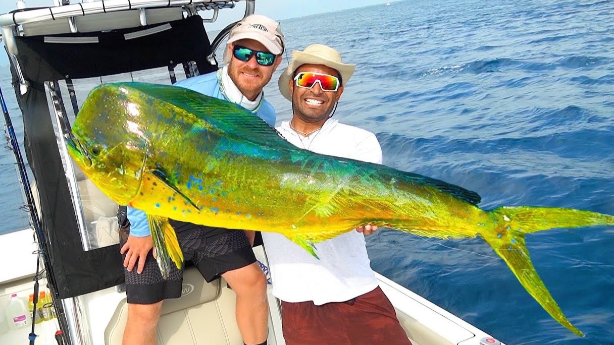 We hooked a monster dolphin fish right under the boat