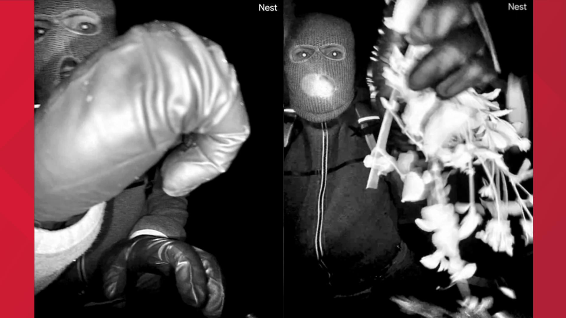 FBI releases photos of possible subject in Nancy Guthrie case