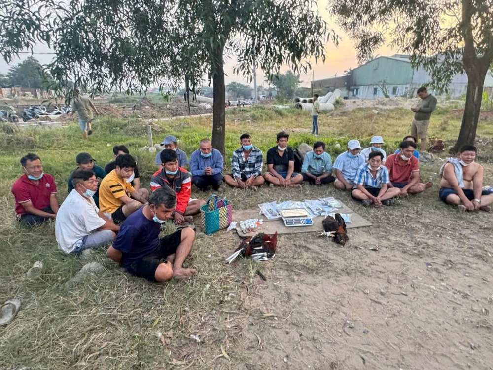 Công an TPHCM triệt phá loạt sới gà quy mô lớn dịp Tết Bính Ngọ