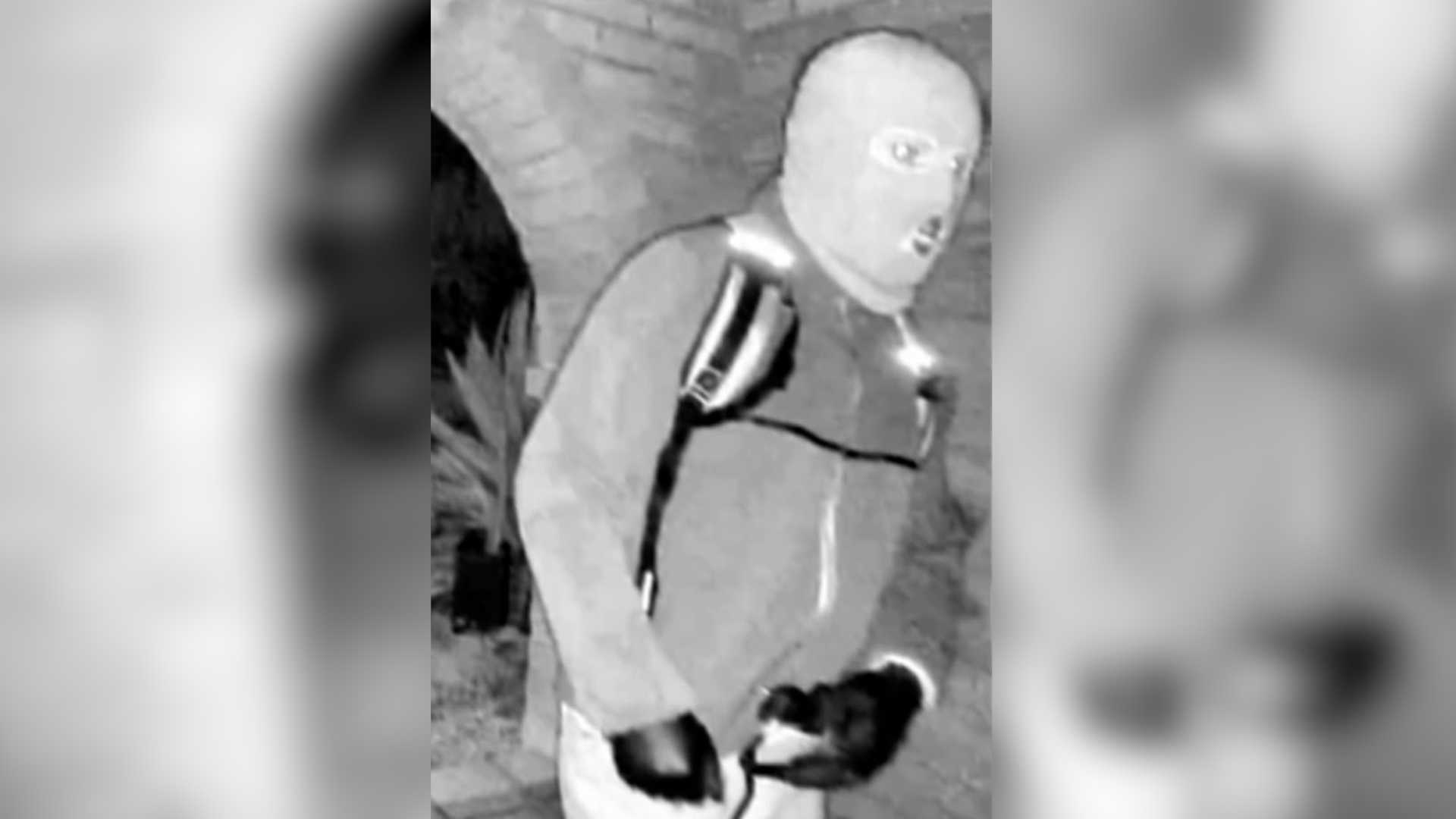 FBI releases surveillance photos of masked person near Nancy Guthrie's ...