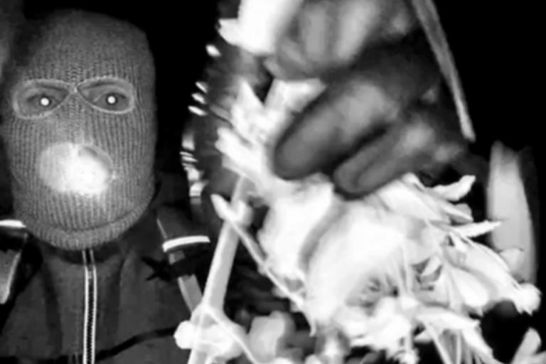 @FBIDirectorKash/X - PHOTO: FBI Director Kash Patel released a surveillance photo, Feb. 10, 2026 showing a potential subject in investigation of the disappearance of Nancy Guthrie in Tucson, AZ.