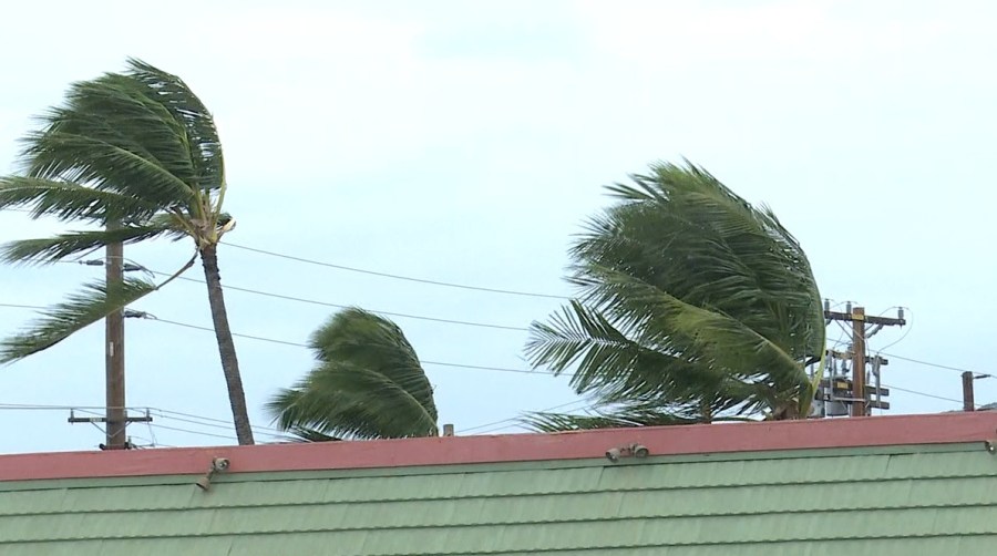 Hurricane Nolo whips up winds, disrupts travel