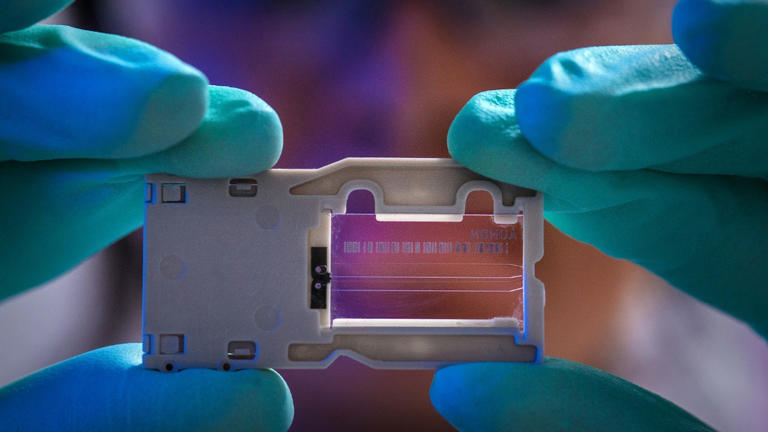 Laser-written glass chip brings quantum communication to real-world use