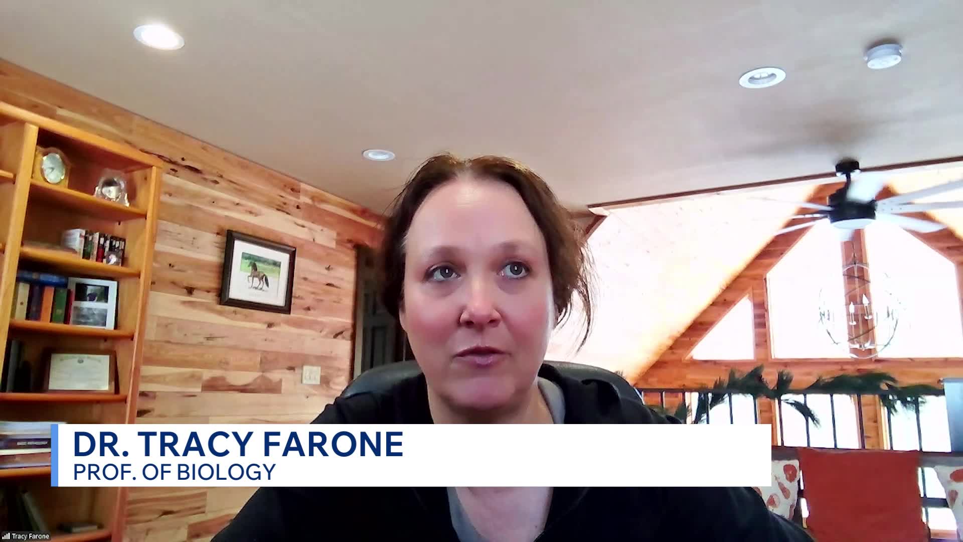 Expect analysis: How honey bees and native pollinators interact