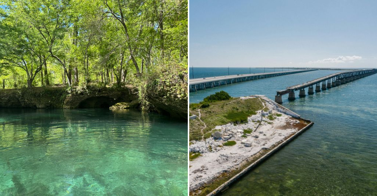 8 great finds you’ll love and 2 regrets you might skip when touring Florida