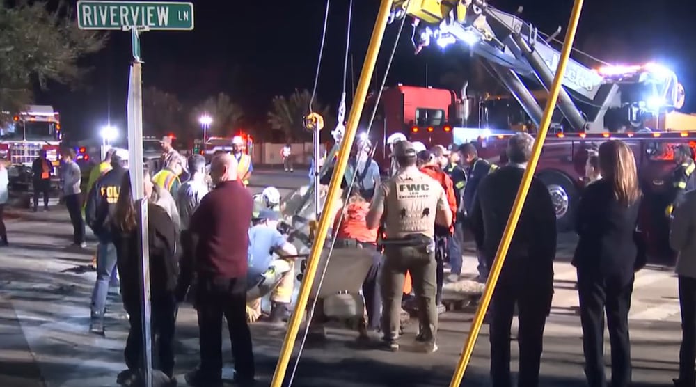 Manatee rescued from storm drain in Melbourne Beach
