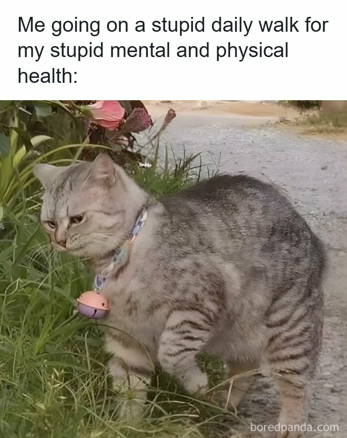 32 Funny Memes About Everything That Happens In Healthcare