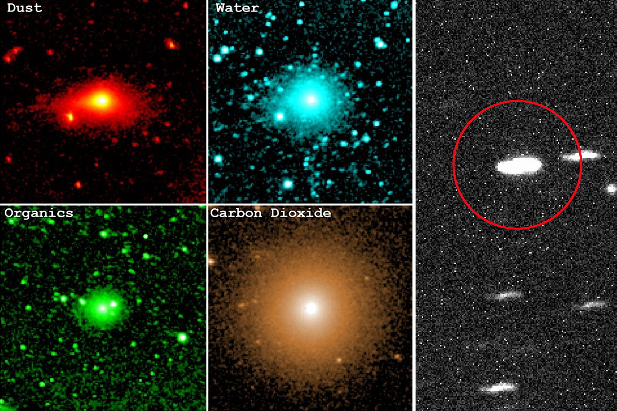 Building blocks of life detected on 3I/ATLAS — scientists say it could ...