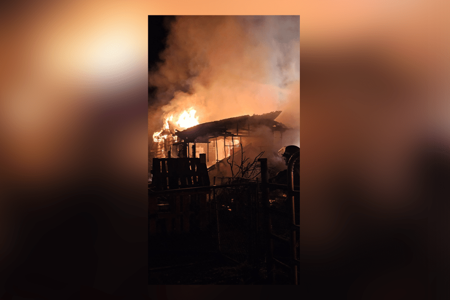 3 dogs killed in Sunday house fire in Tatum