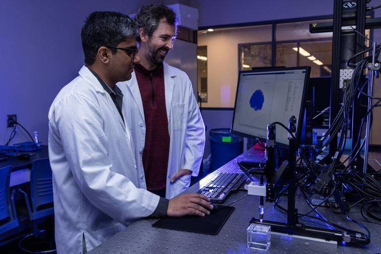 3D-printed brain models could improve medical research and training