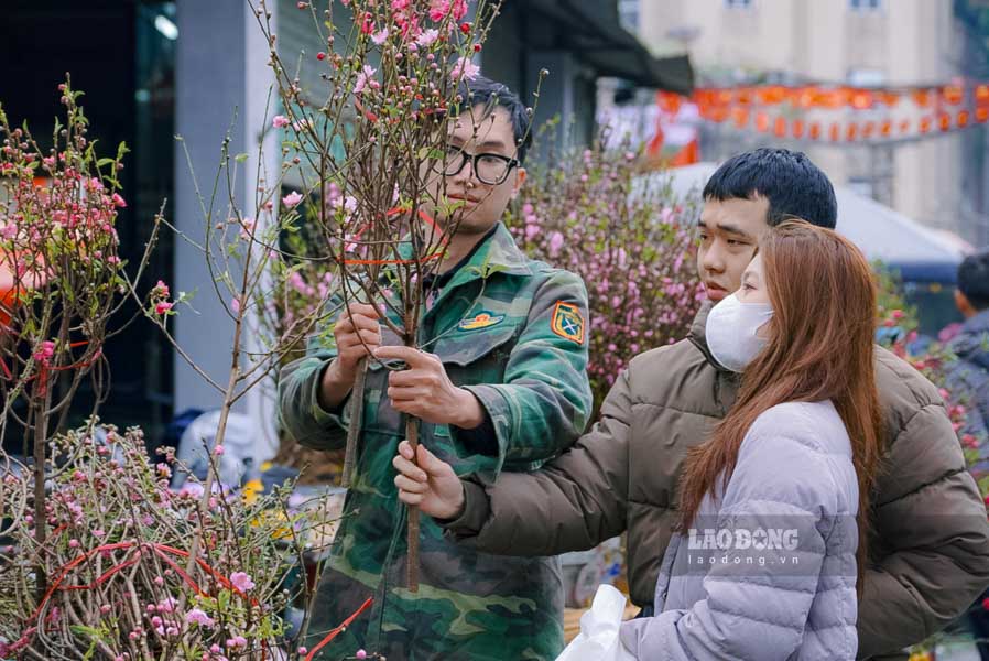 Chợ hoa Quảng An nhộn nhịp những ngày cận Tết Nguyên đán Bính Ngọ 2026