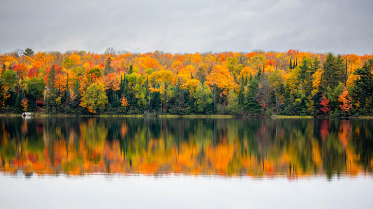 Wisconsin's 'Loon capital of the world' is a scenic escape with lakes ...