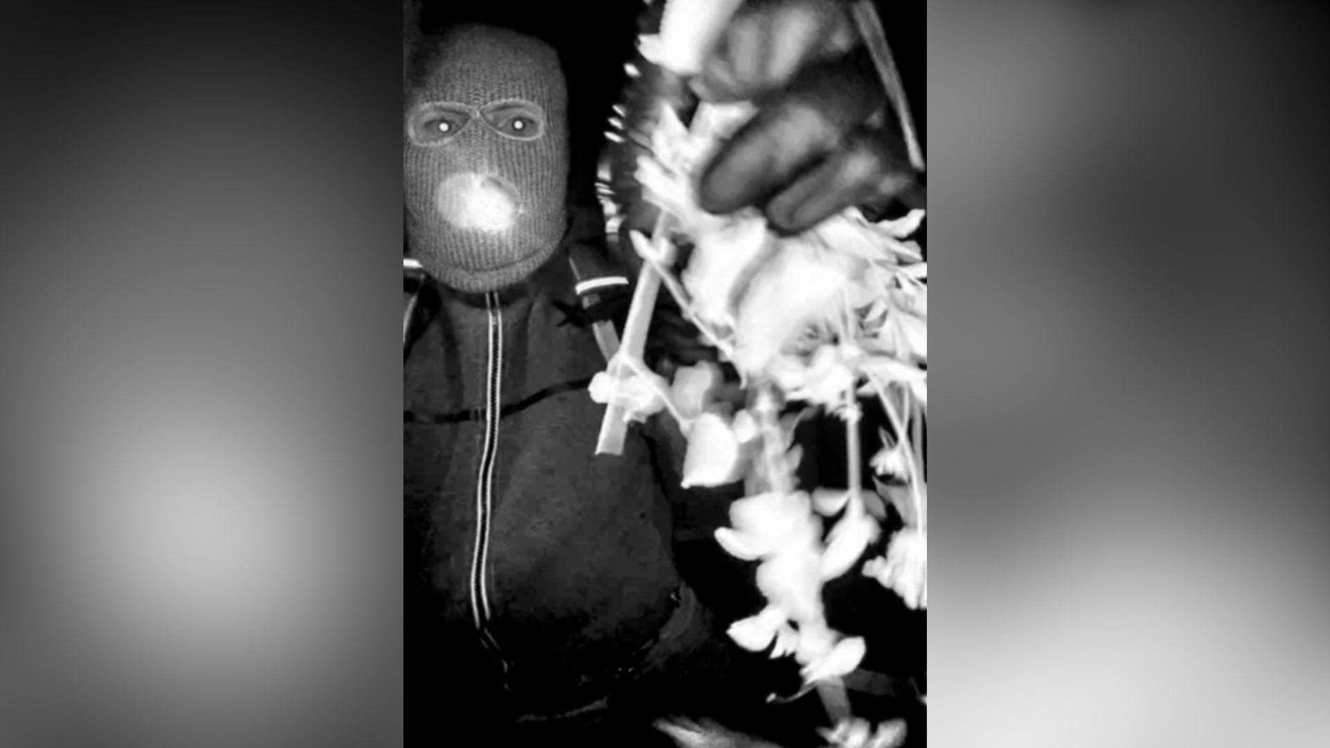 FBI releases image of masked individual in search for Nancy Guthrie<br><br>