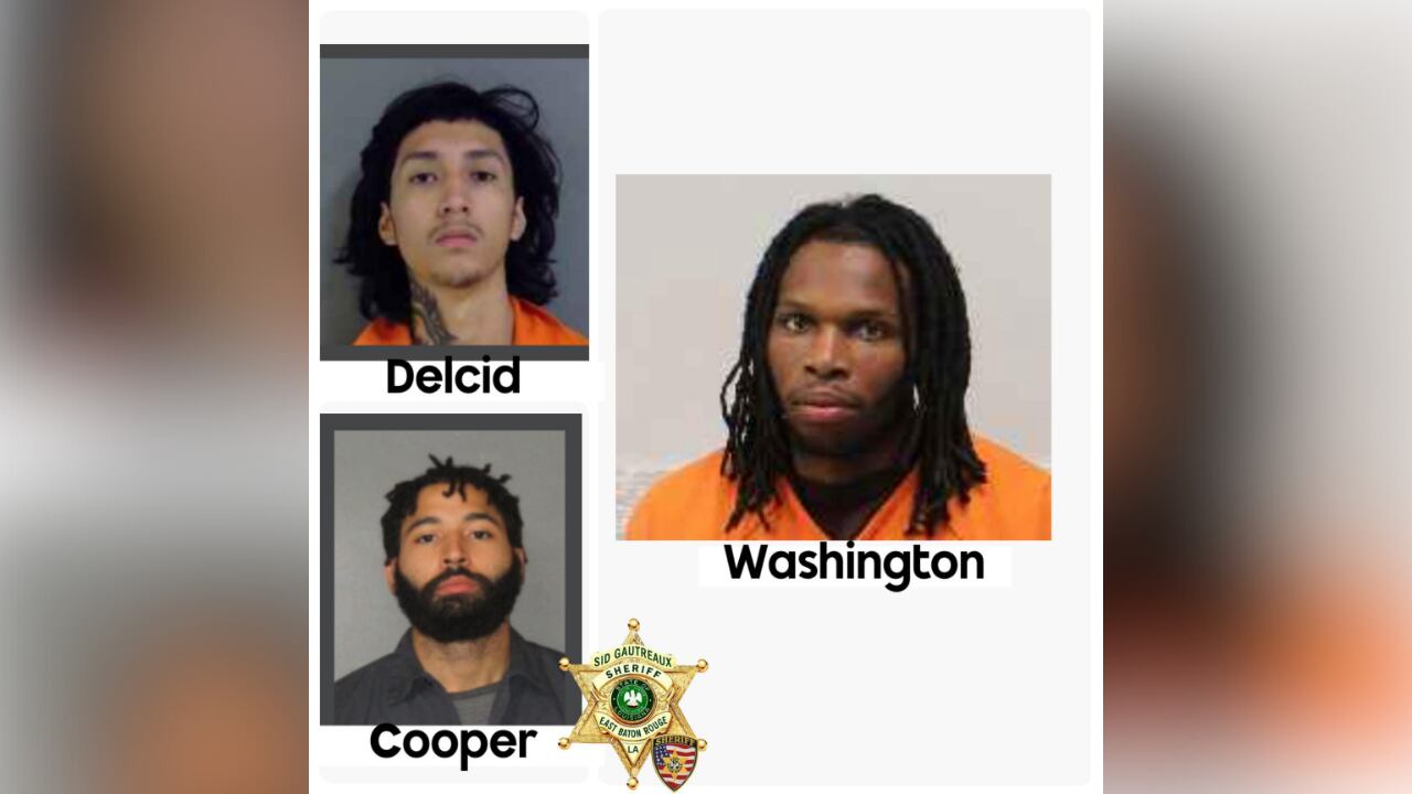 1 arrested, 2 still wanted in large-scale vehicle theft investigation