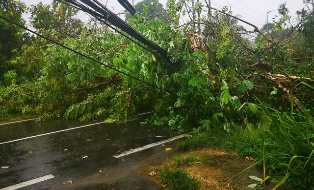 Governor issues emergency proclamation as US region faces impending mass power outages: 