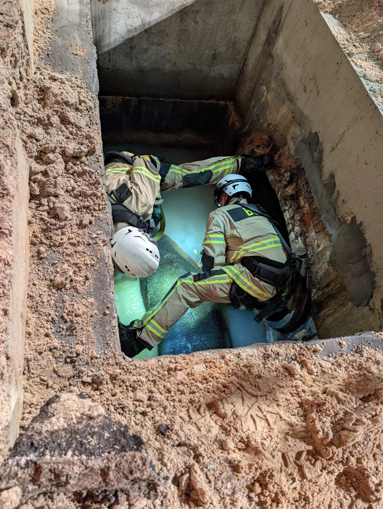400-pound manatee rescued from Central Florida storm drain recovering ...