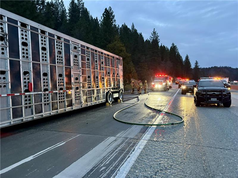 Update: Multiple cattle killed in trailer fire on I-80