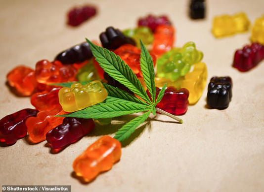 Luckily, the crew members only started eating the edibles, which contained up to 300mg of the psychoactive component of marijuana, THC, after the flight from Heathrow had landed in LA last week (stock image)