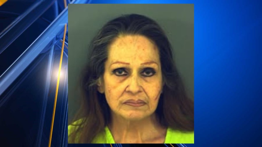 Woman charged with intoxication manslaughter after fatal truck crash