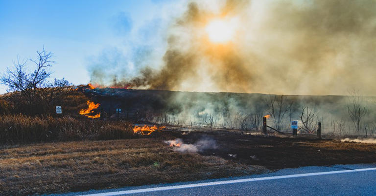Highways 640, 55 shut down in Polk County for 1,216-acre fire