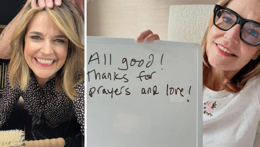 Savannah Guthrie on Today looks unrecognizable with her natural hair color<br>