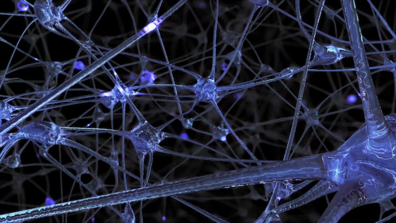 Scientists uncover brain switch that makes ayahuasca slash PTSD symptoms