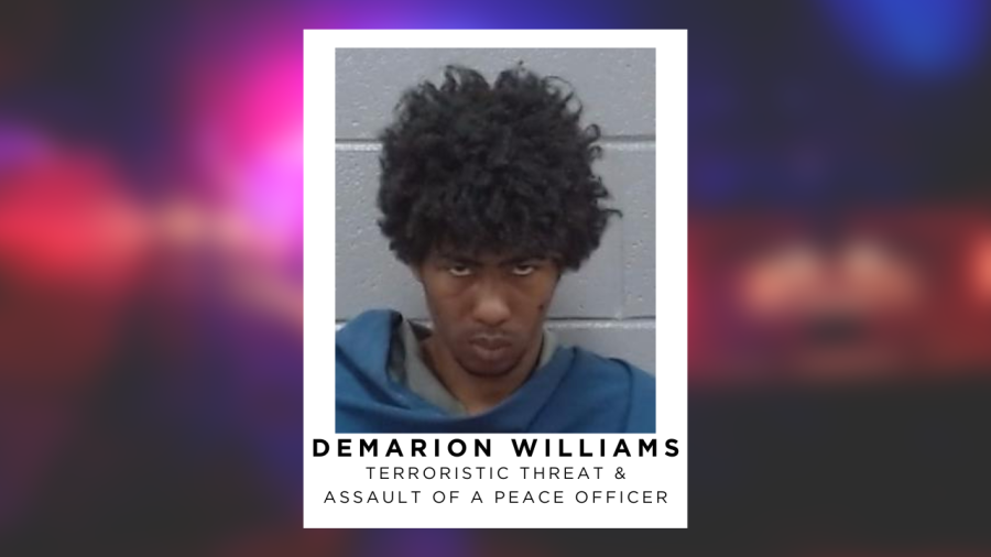 Man arrested for assault and terror threat against peace officer
