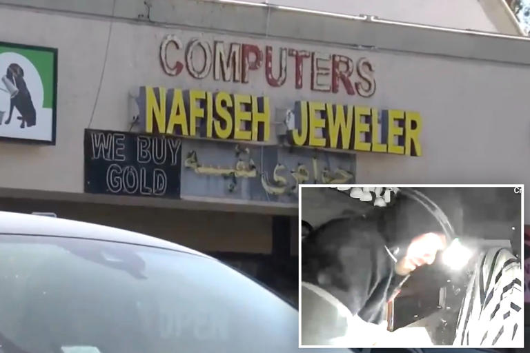 Video shows brazen thief break into jewelry store and make off with ...