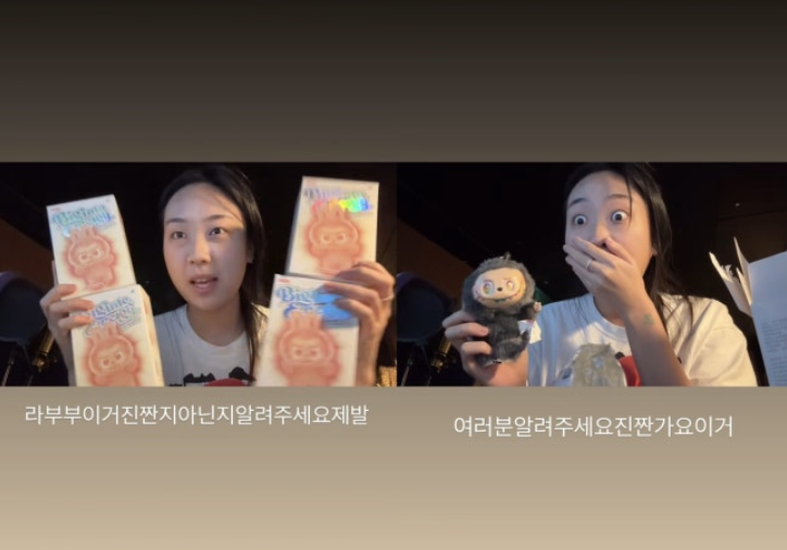 블랙핑크 로제·리사도 열광한 라부부…전 세계서 초당 3개씩 팔렸다