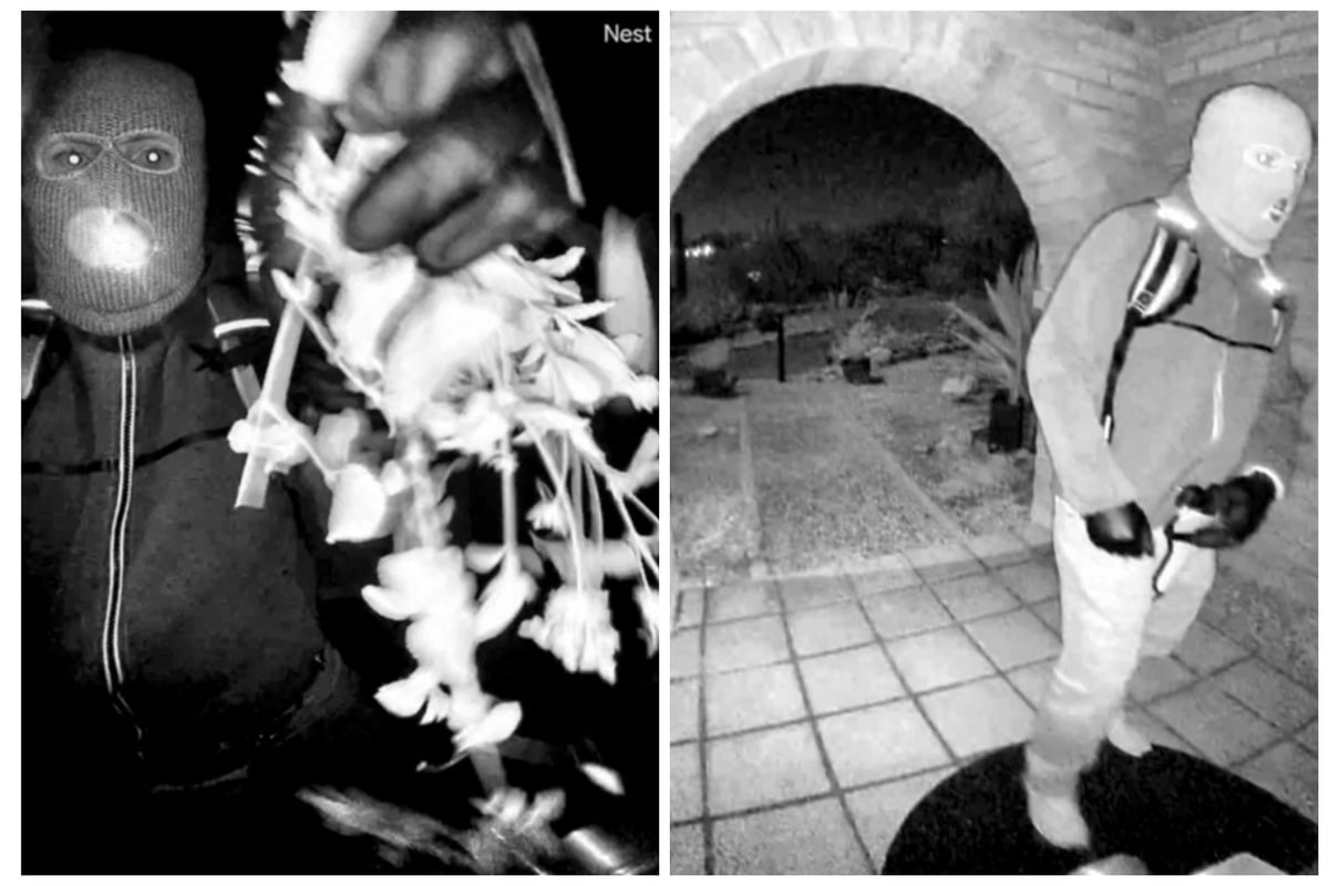 Police search home of person held in Nancy Guthrie kidnapping probe<br><br>